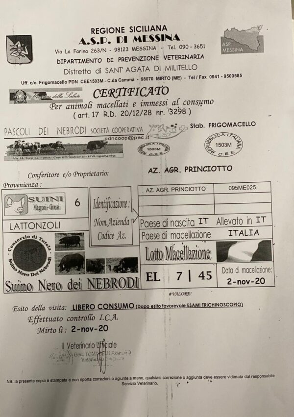 Certificato Maialino Nero